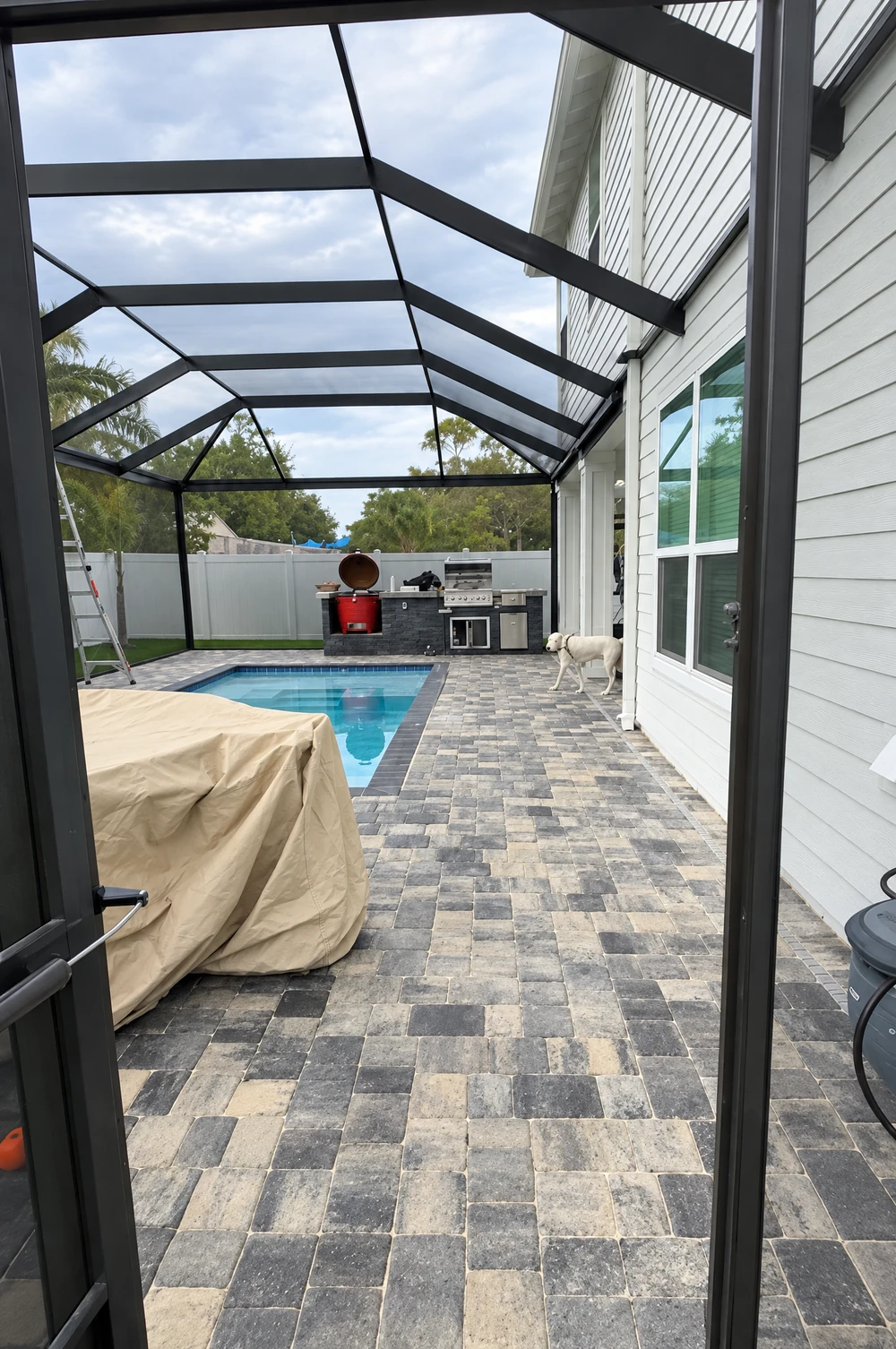 Pool deck viewed from inside the screen enclosure