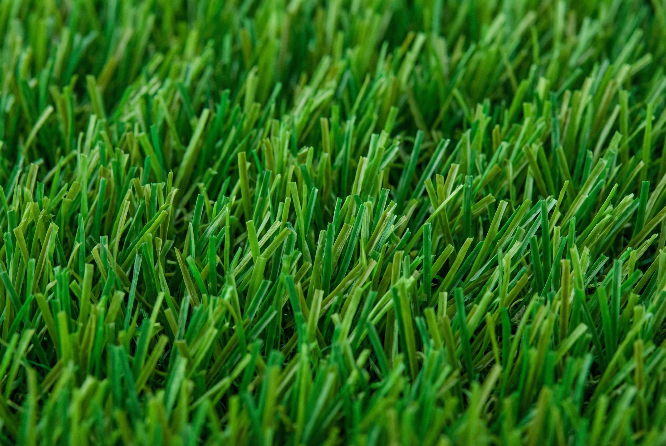 Premium Artificial Turf